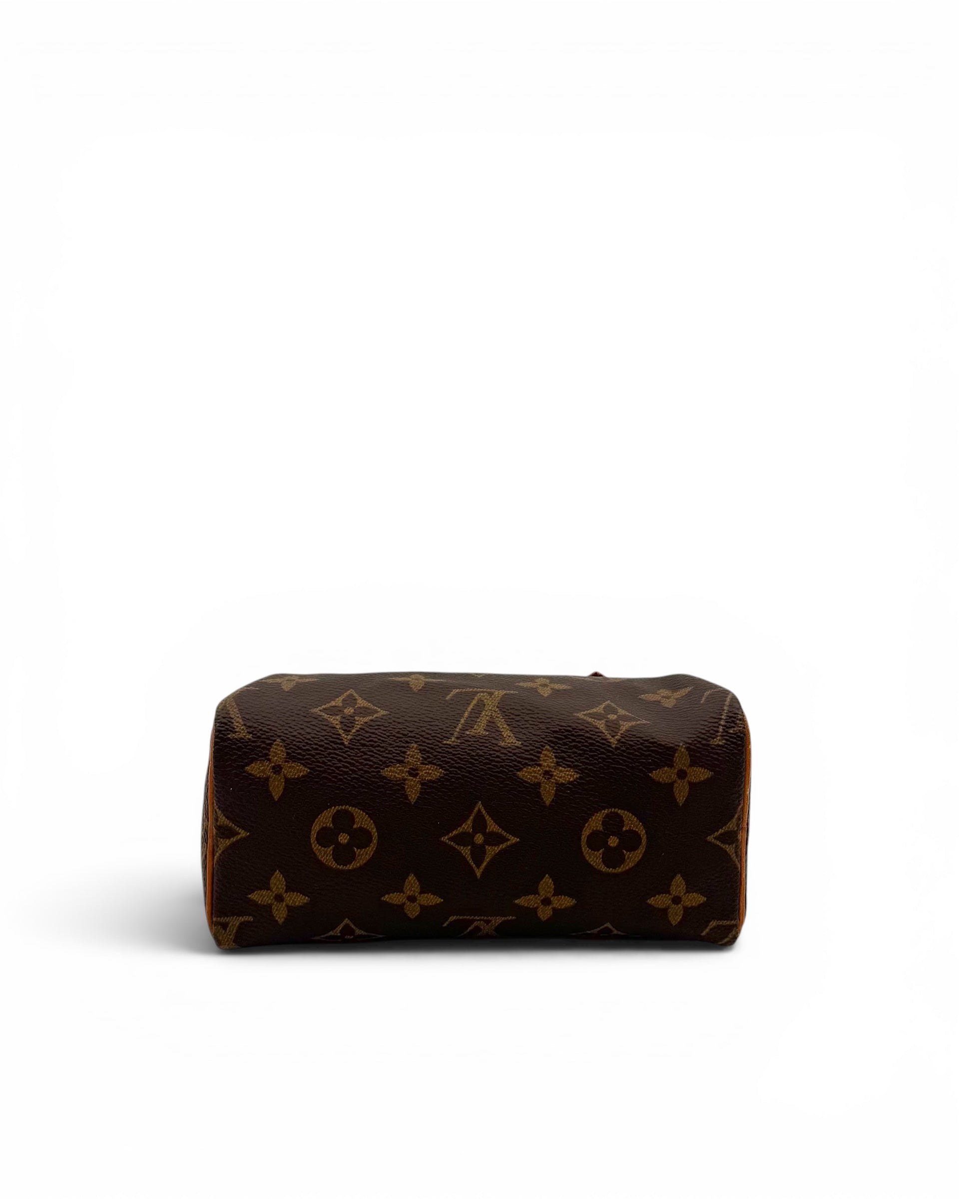 Louis Vuitton Nano Speedy