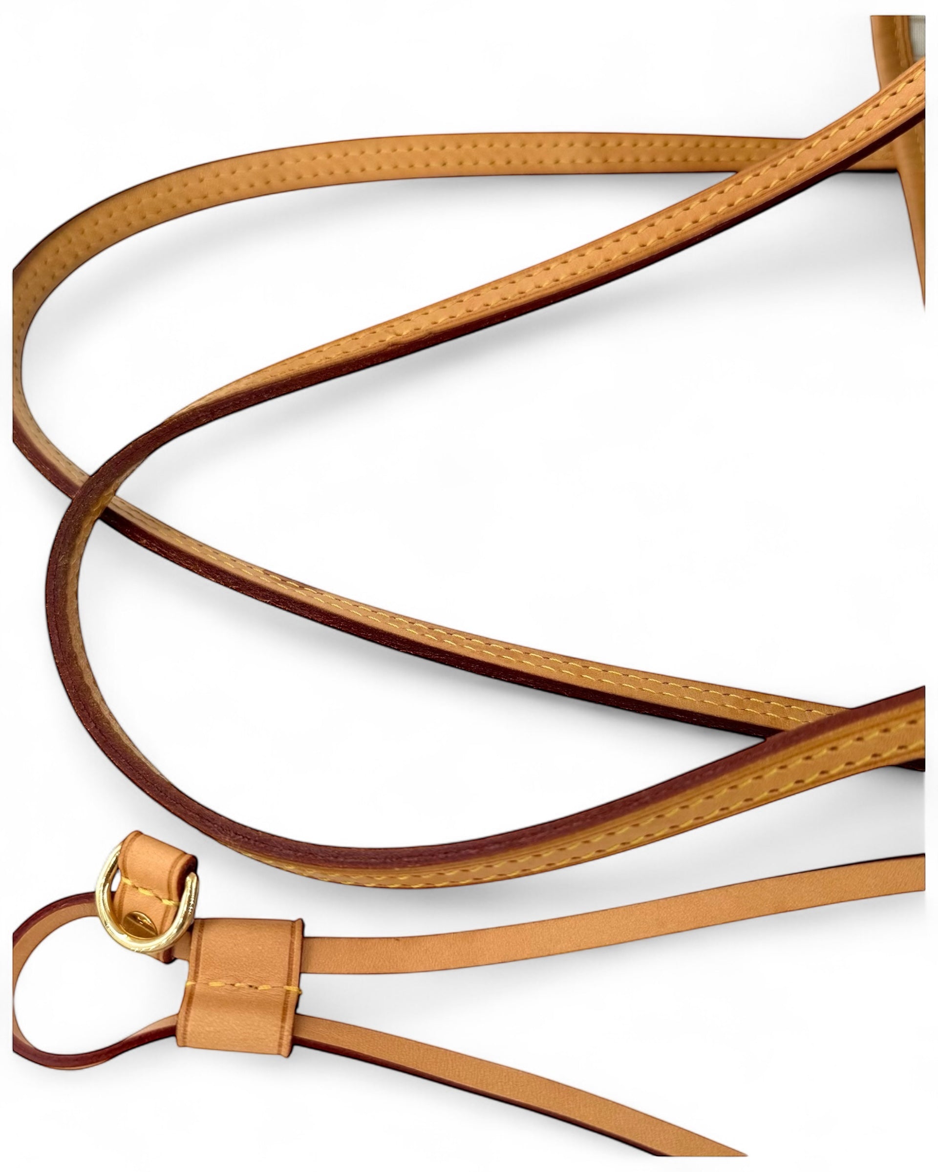 Louis Vuitton Neverfull Damier Azur GM